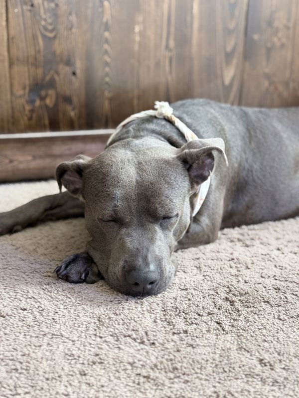 Maggie May Ii thumbnail 2