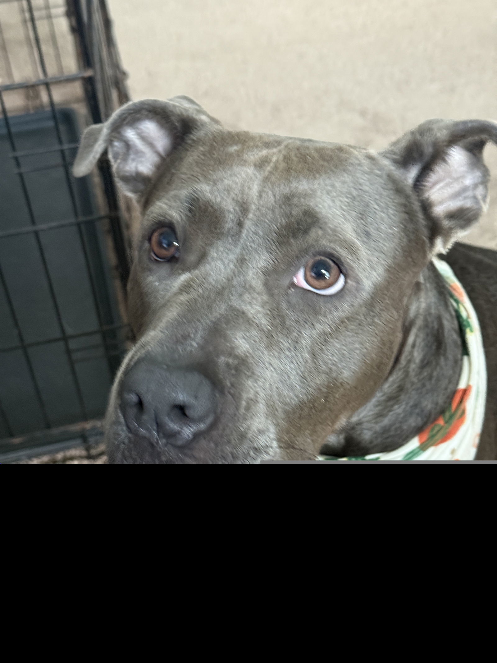 Maggie May II (New Digs)