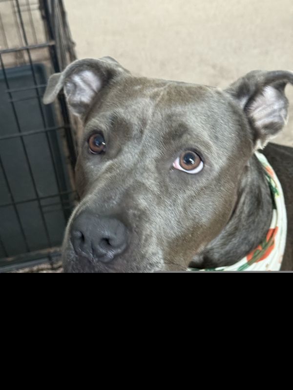 Maggie May Ii thumbnail 3