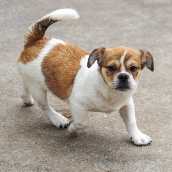 Rosie The Riveter photo 1