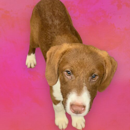 Sunshine thumbnail 2