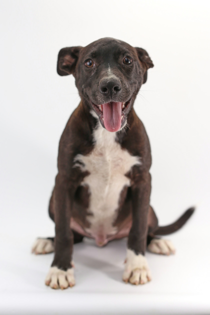 Roscoe