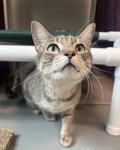 Fiona