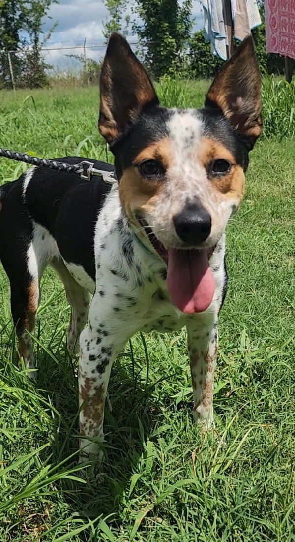 Princess thumbnail 2