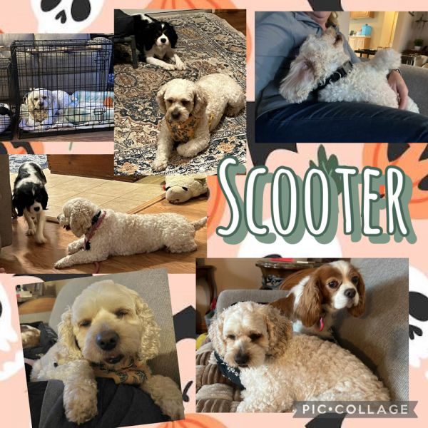 Scooter