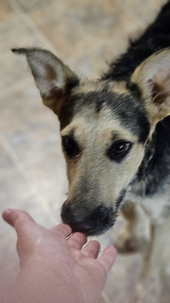 Boomerang thumbnail 3