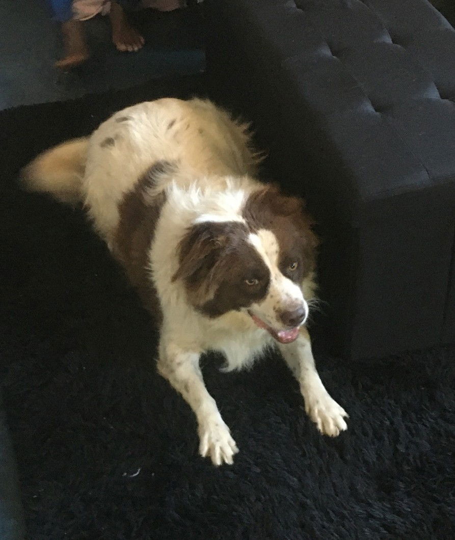COOPER