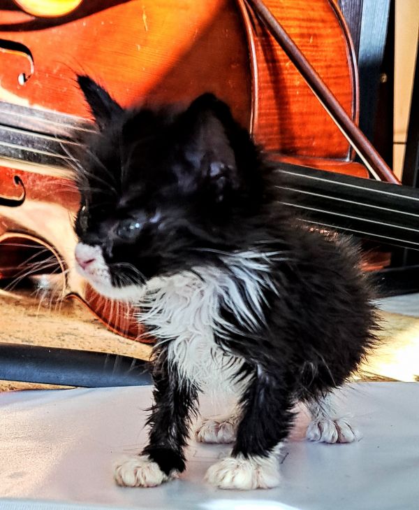 Sebastian thumbnail 2