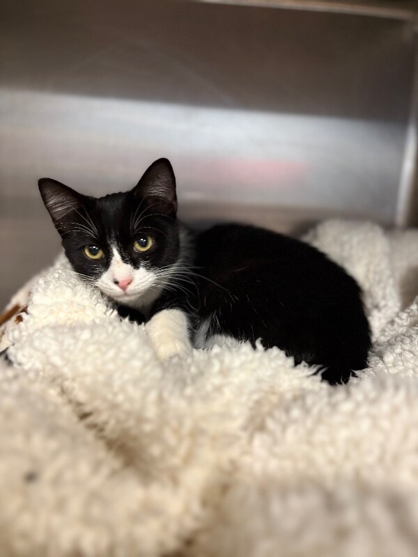 Miss Larry thumbnail 2