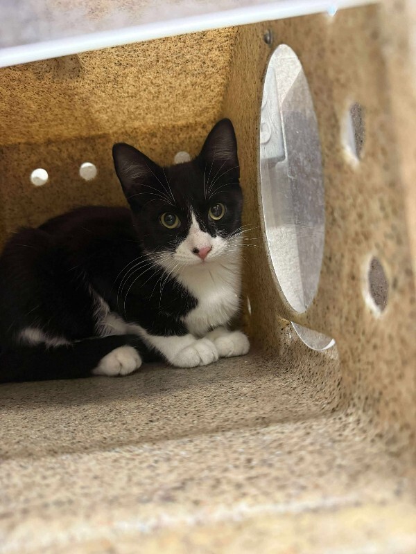 Miss Larry thumbnail 3