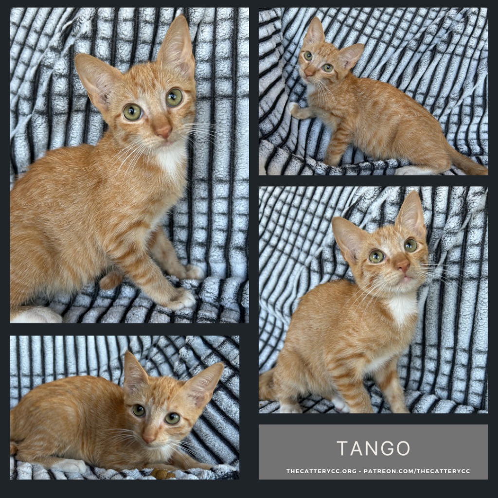 Tango