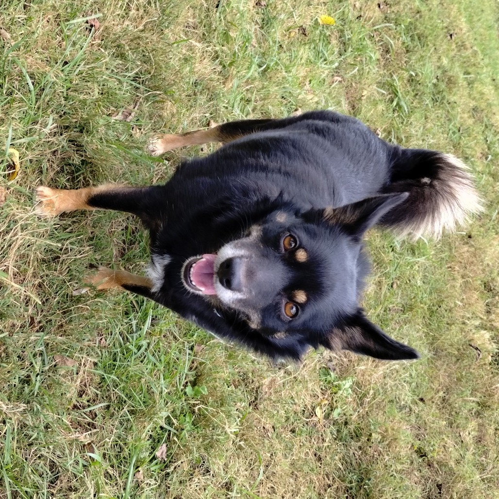 Luna