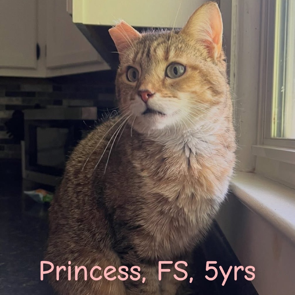 Princess