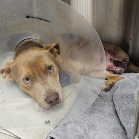 Mr. French thumbnail 2