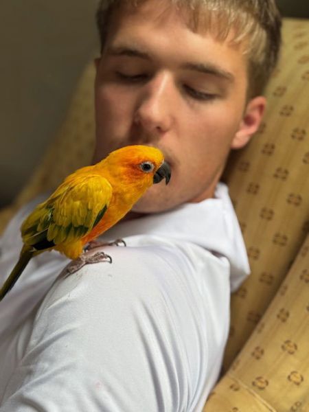 Bird