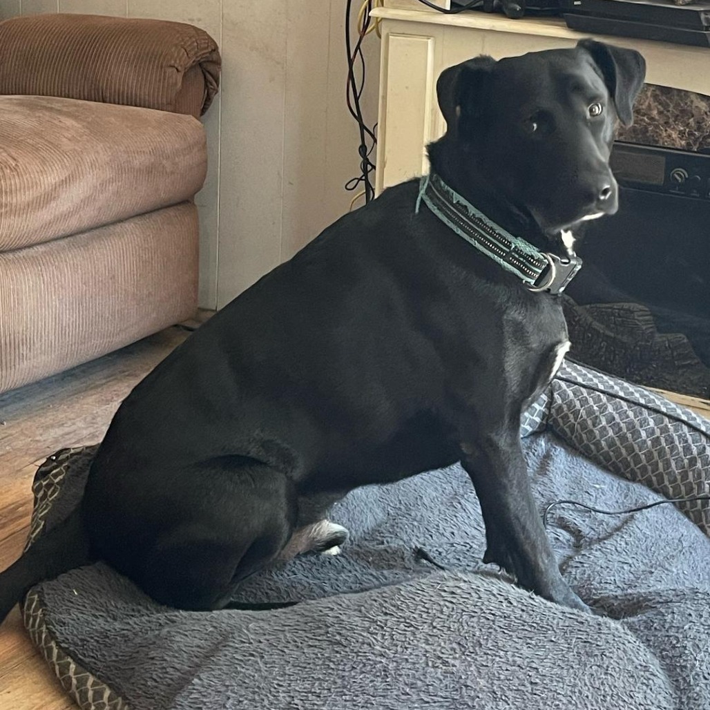 Conor (Courtesy Post)