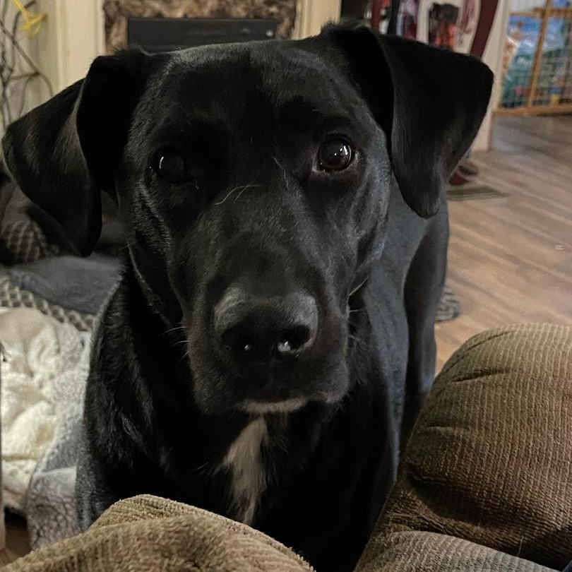 Conor (Courtesy Post)