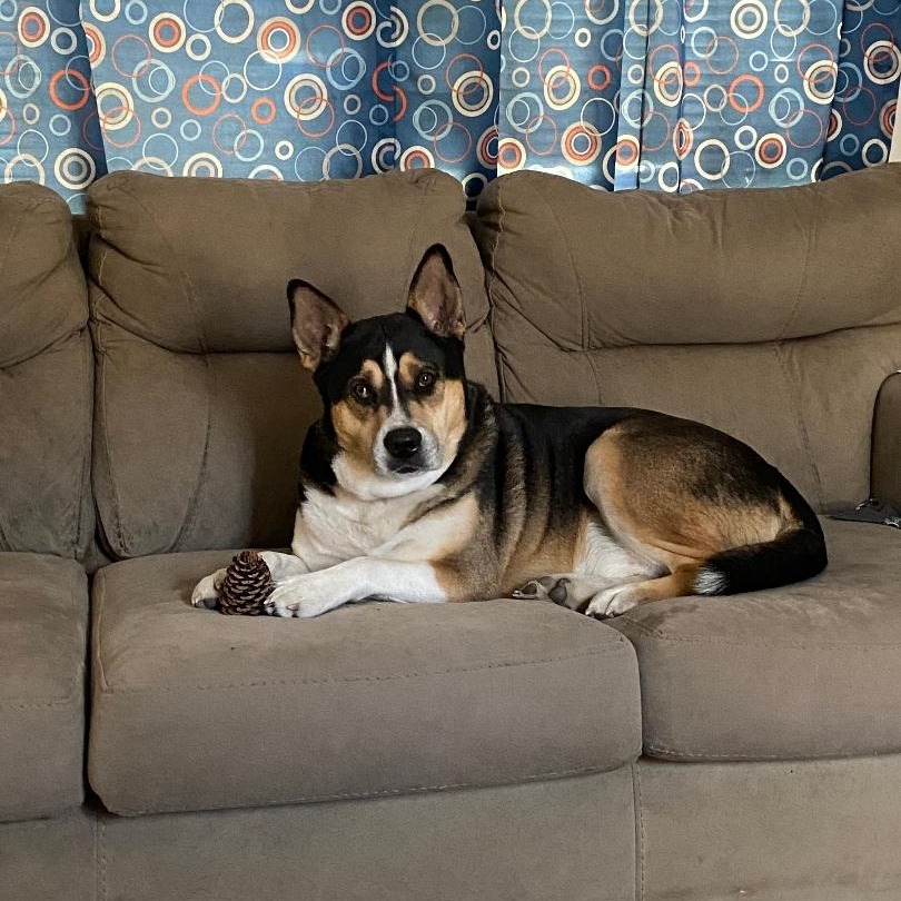 Kirby (Courtesy Post)