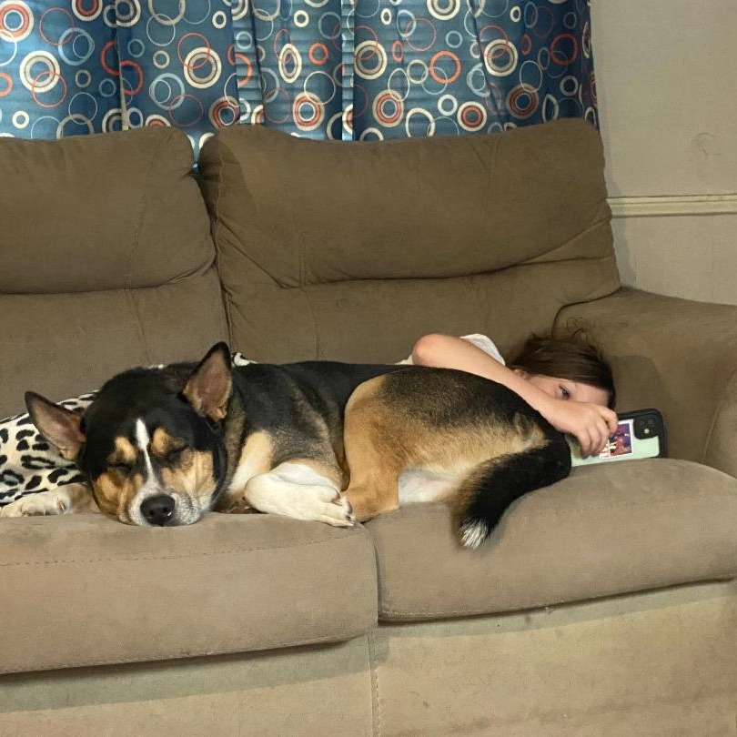 Kirby (Courtesy Post)