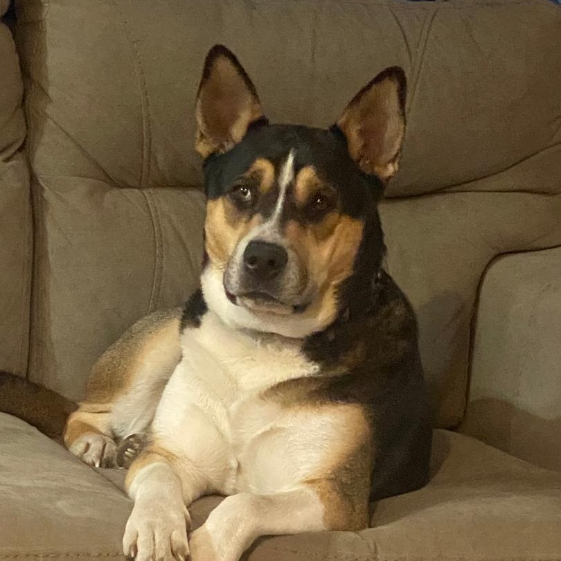 Kirby (Courtesy Post)