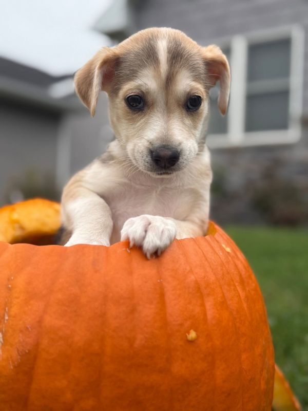 Wednesday thumbnail 4