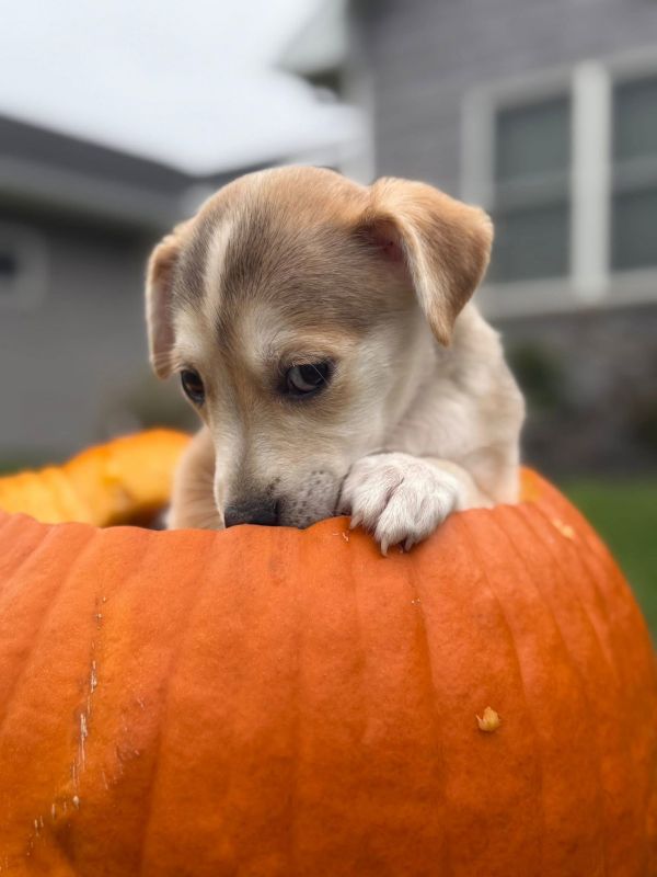 Wednesday thumbnail 5