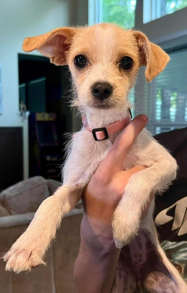 Pippi Longstocking photo 1