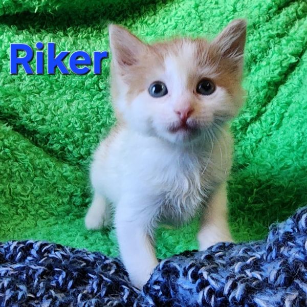 Riker photo 1