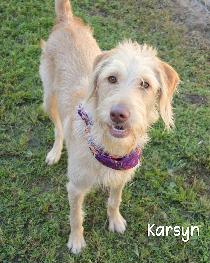 Karsyn