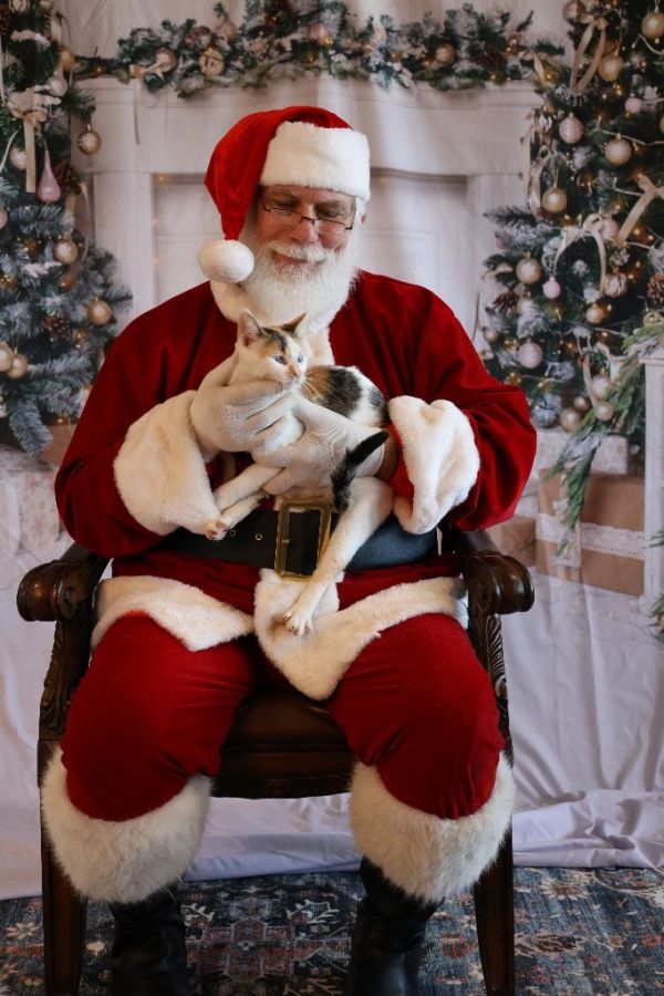 Helen Keller thumbnail 4