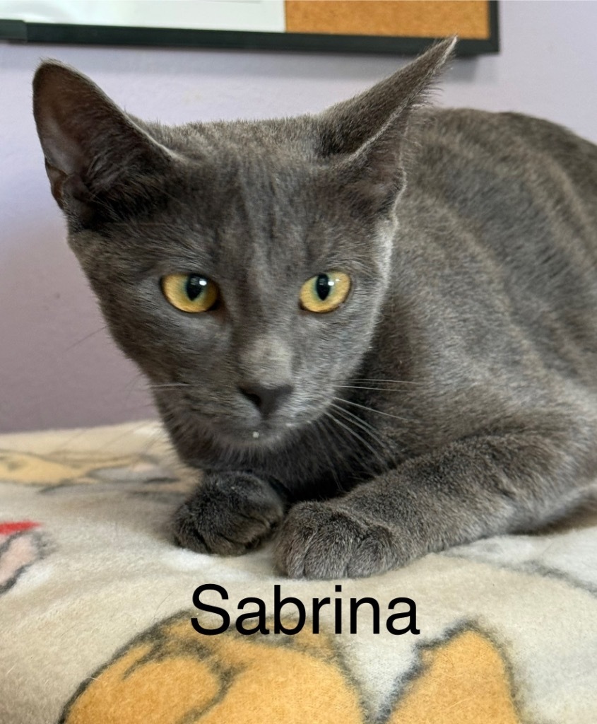 Sabrina
