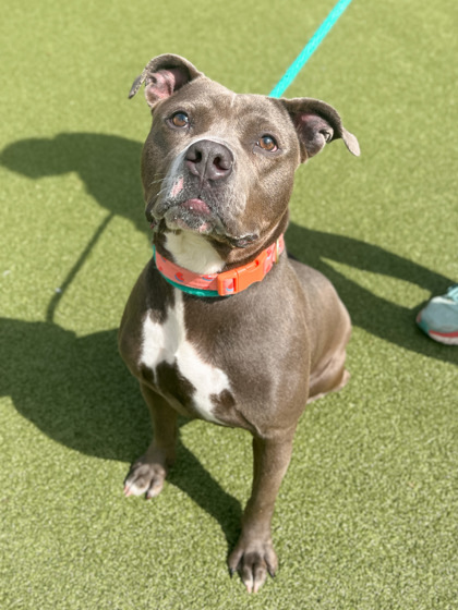 Quinnie Jean photo 1