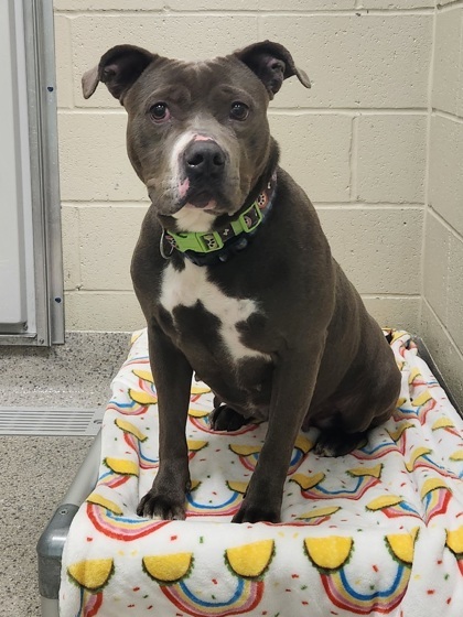 Quinnie Jean thumbnail 2