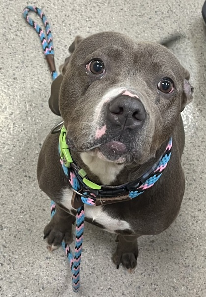 Quinnie Jean thumbnail 3