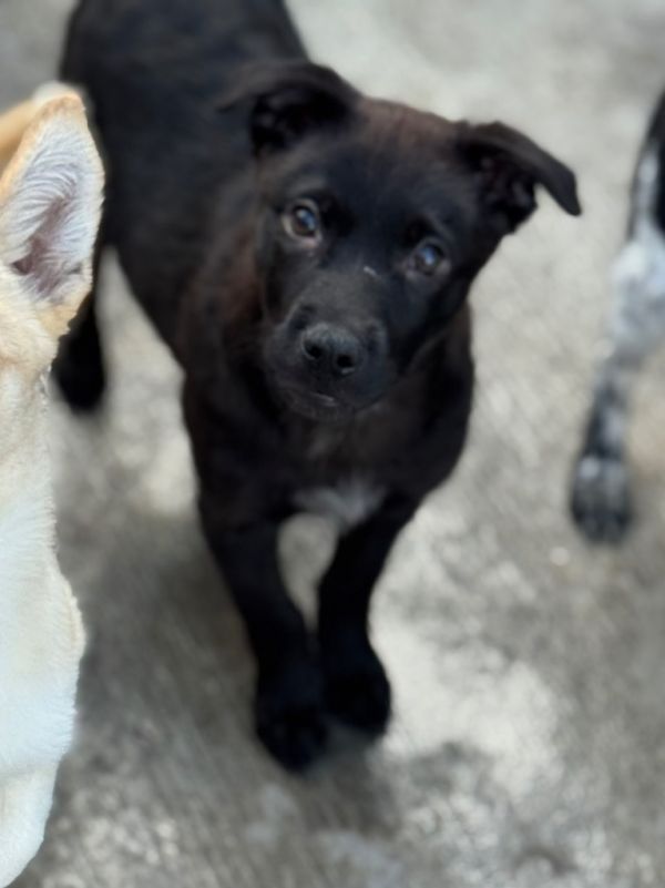 Zokie Sparkleby thumbnail 4