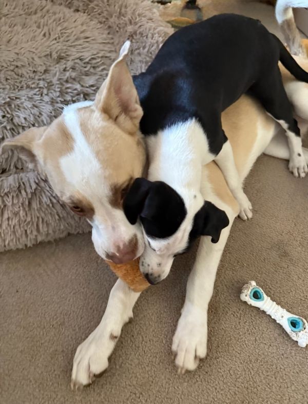 Baby Smudge thumbnail 2