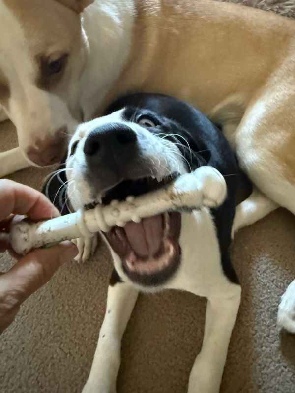 Baby Smudge thumbnail 5