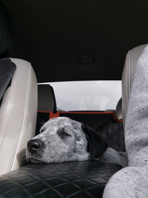 Wrangler thumbnail 4