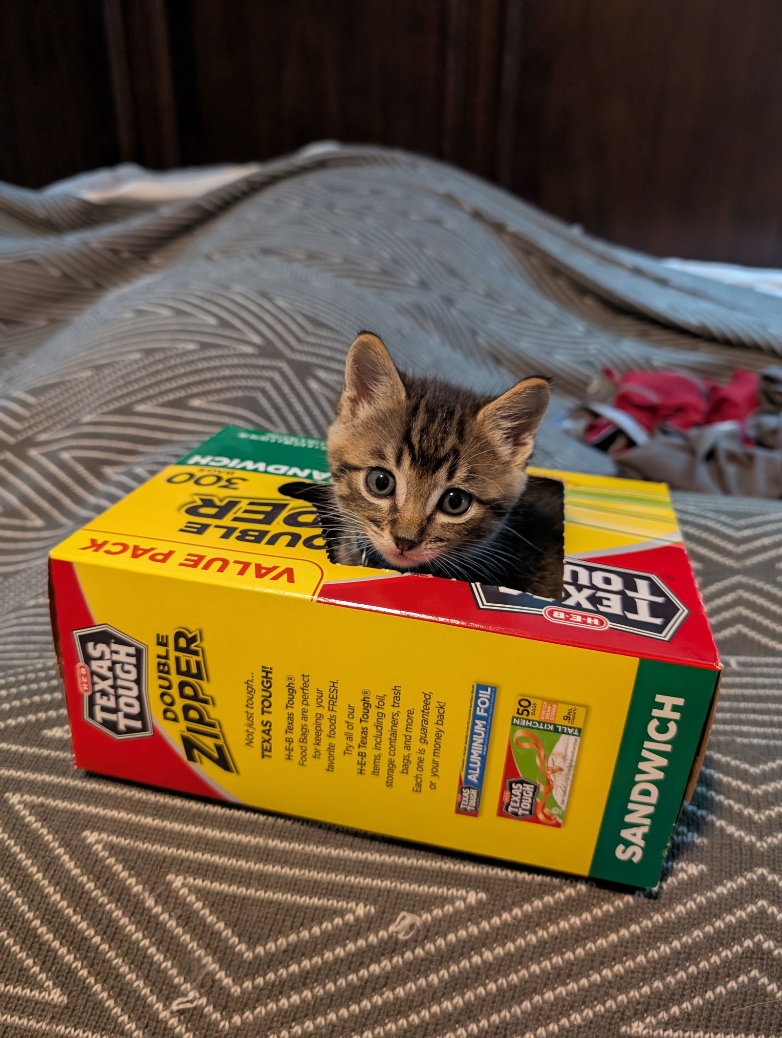 Felix
