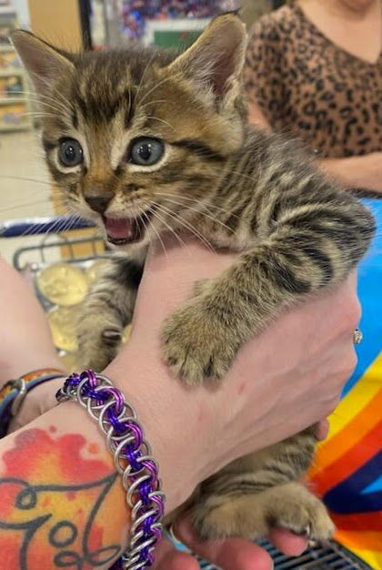 Felix
