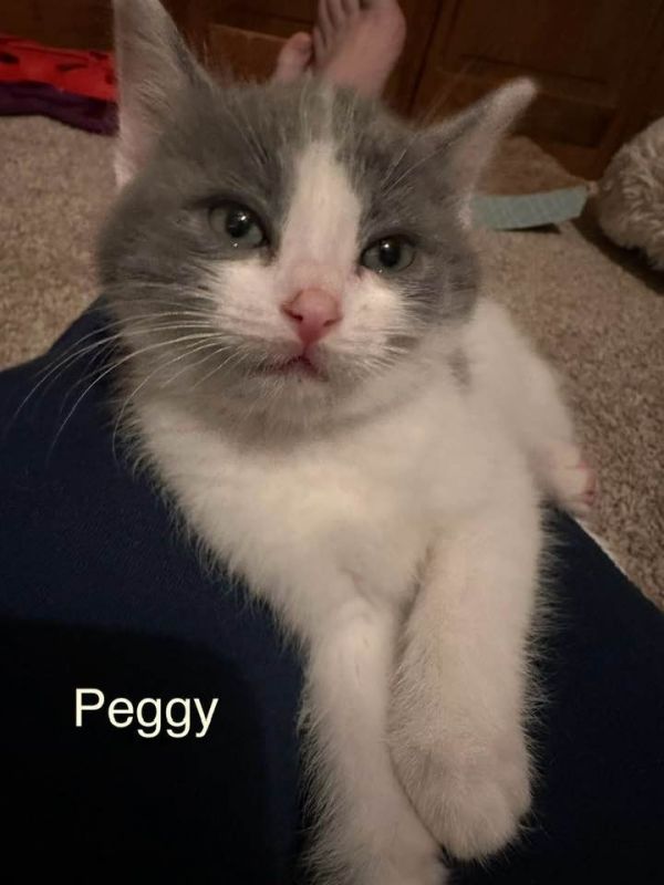 Peggy thumbnail 2