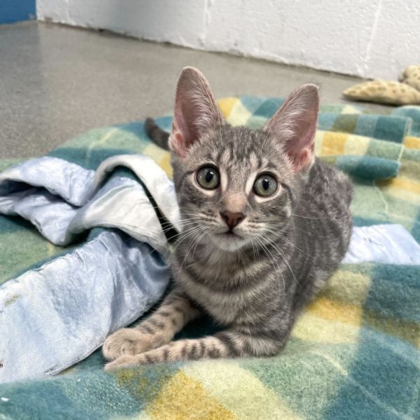 Bit Of Mischief photo 1