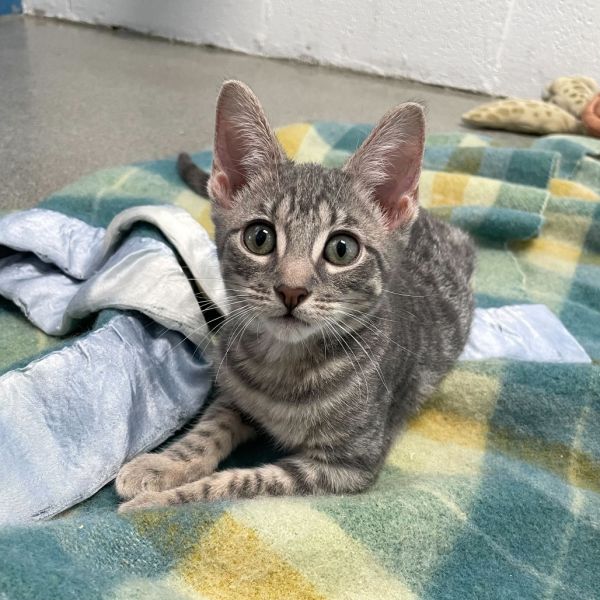 Bit Of Mischief thumbnail 2