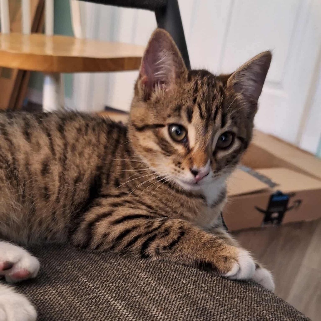 Katsby (fmr Catalina)