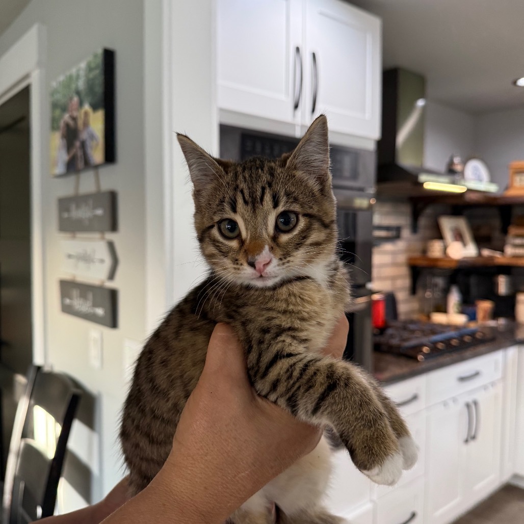 Katsby (fmr Catalina)