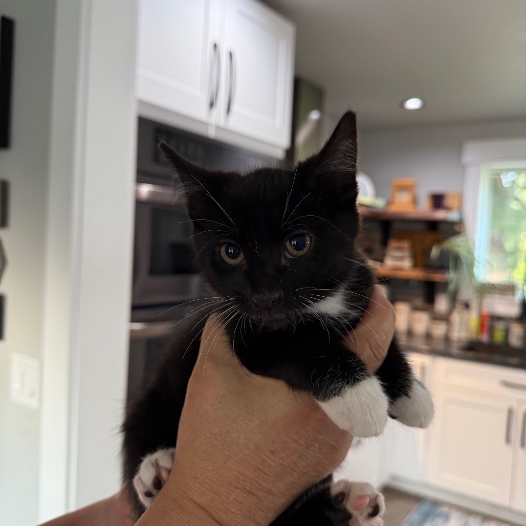 Max