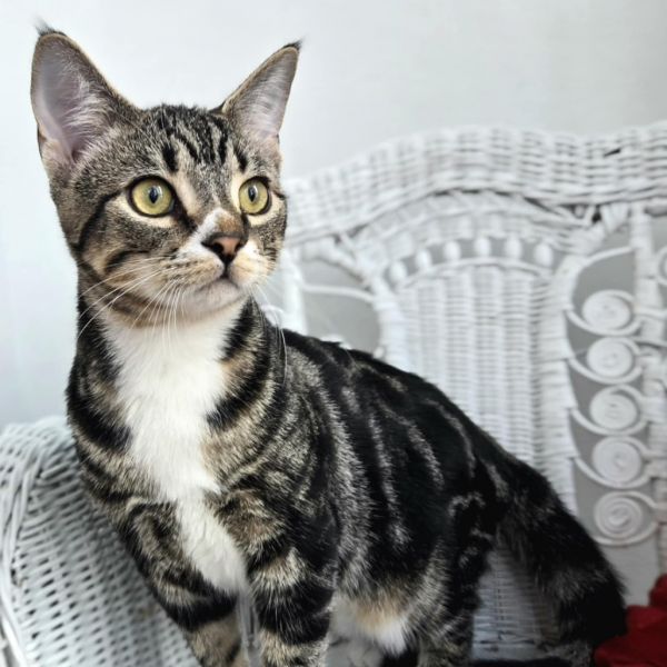 Stephen E Benny photo 1