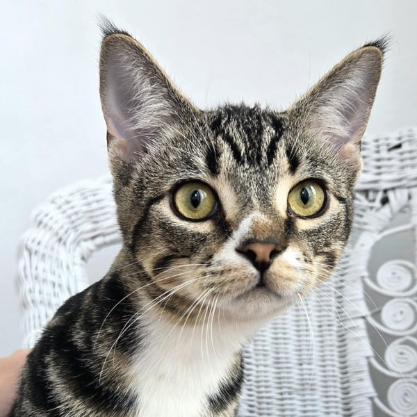 Stephen E Benny thumbnail 3