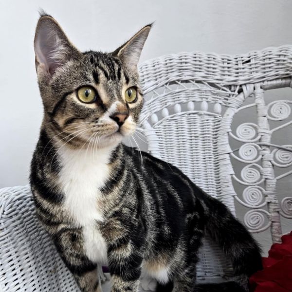 Stephen E Benny thumbnail 4