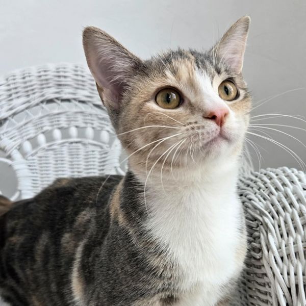 Penny E Benny photo 1